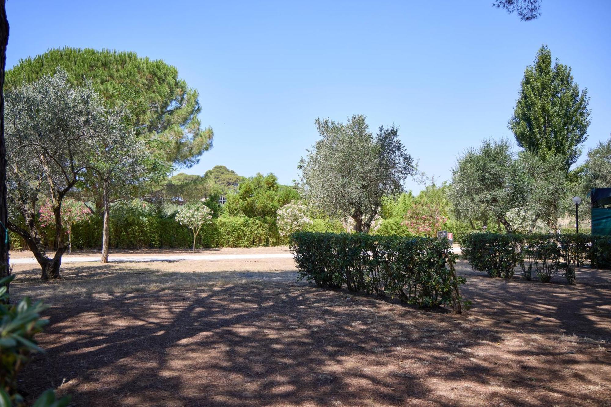 Costa D'Argento - Camping Village Club 卡帕尔比奥 外观 照片