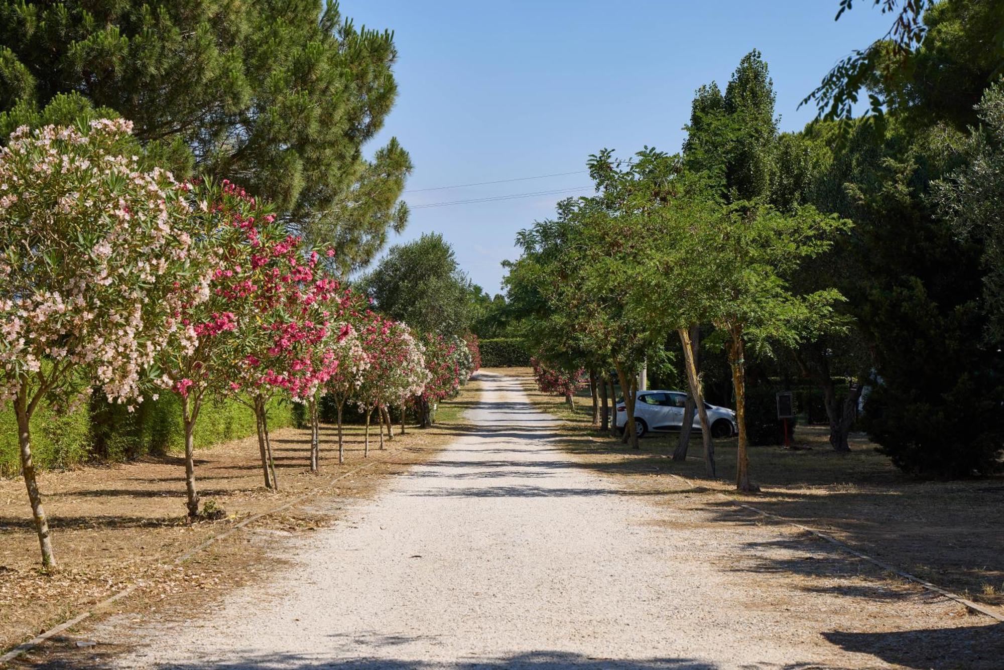 Costa D'Argento - Camping Village Club 卡帕尔比奥 外观 照片